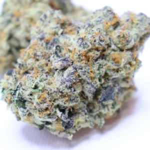 Blueberry Sherbet
