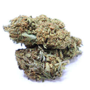 Lilac Diesel