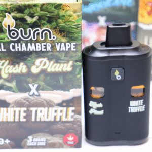 6G DUAL CHAMPER DISPOSIBLE BURNS VAPE